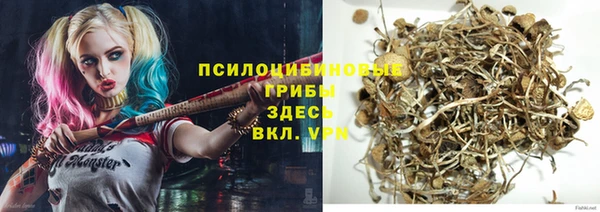 трава Болхов