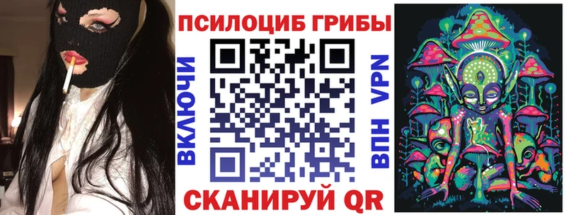 мега ONION  Вичуга  Галлюциногенные грибы Psilocybine cubensis  купить наркоту 